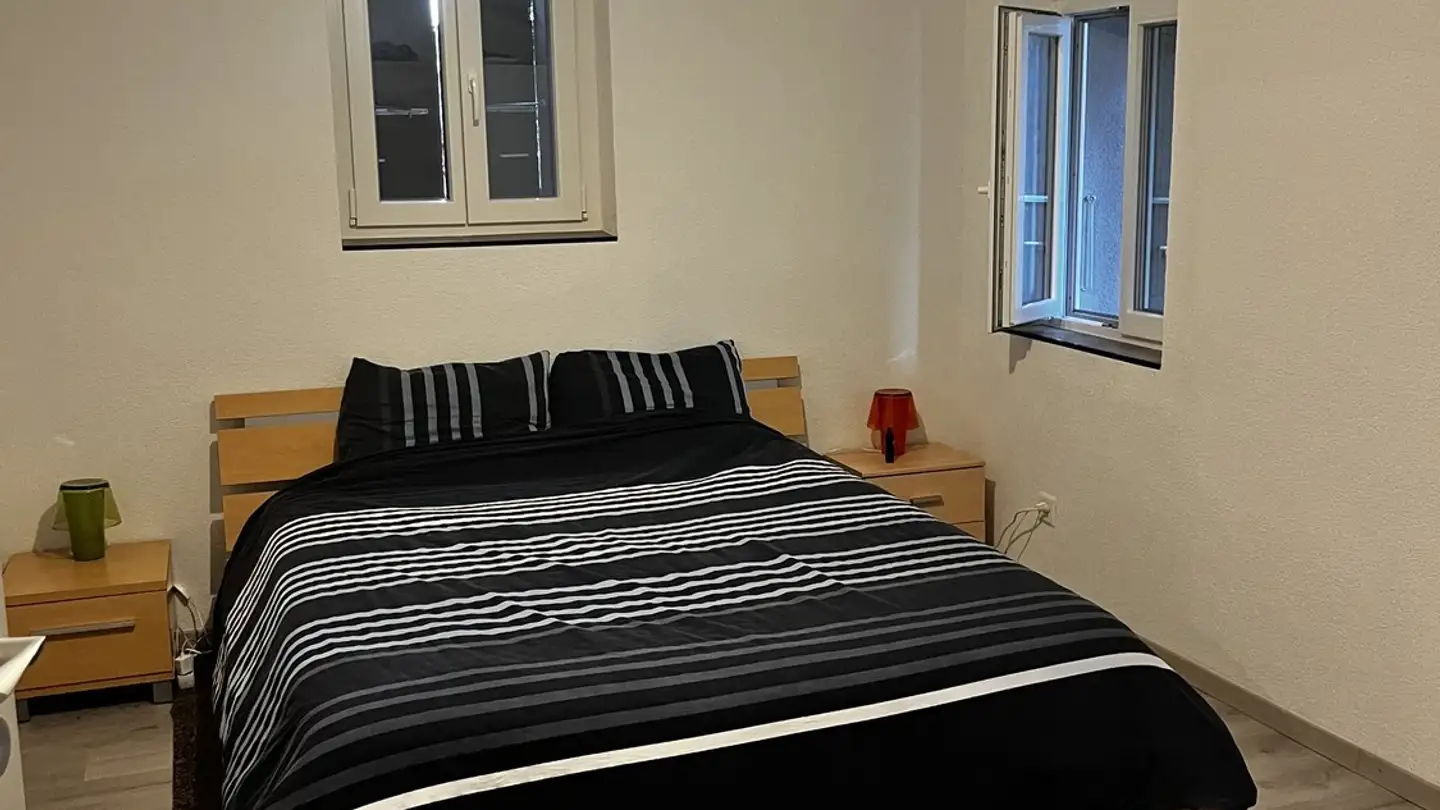 Appartamento in affitto - Route De La Gruyère, 1634 La Roche FR - Photo 4