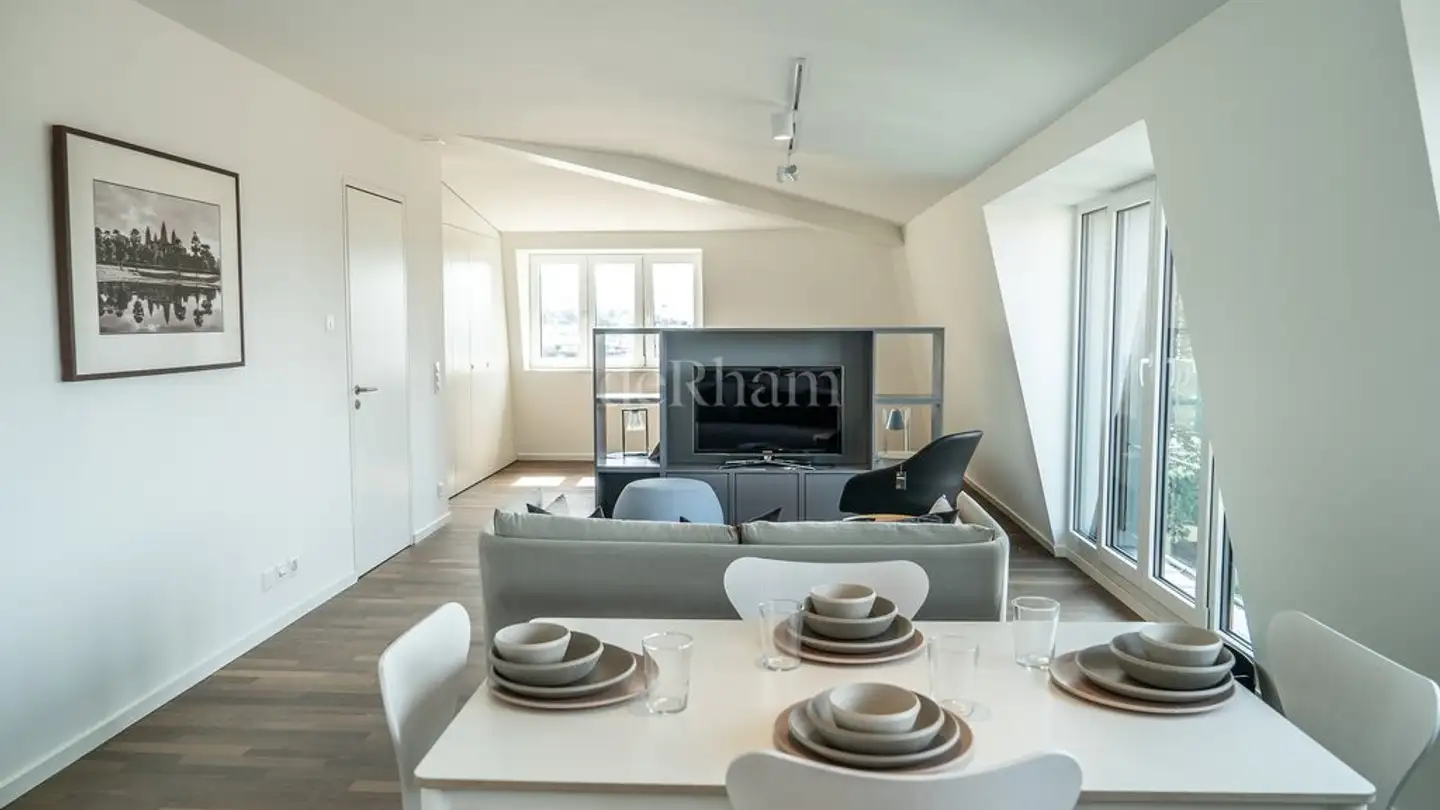 Loft in affitto - Avenue Victor-Ruffy 20, 1012 Lausanne - Foto 3