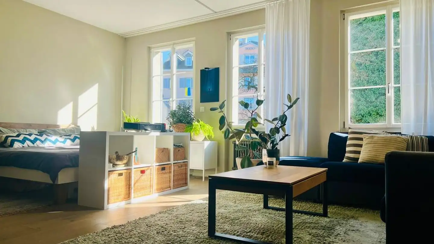 Appartement à louer - Rindermarkt 8, 8001 Zürich - Photo 2