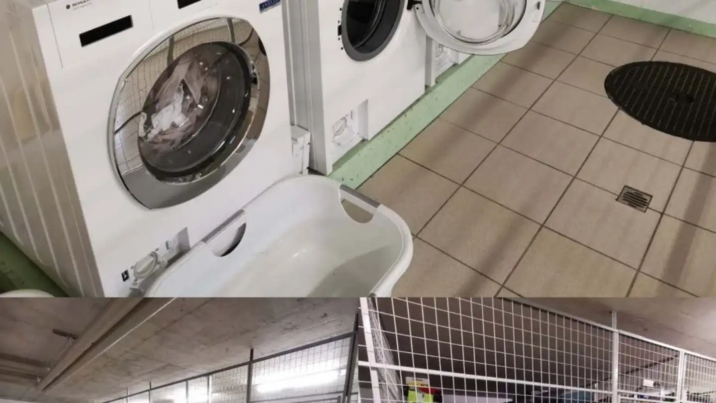 Appartamento in affitto - 6532 Castione - Photo 3