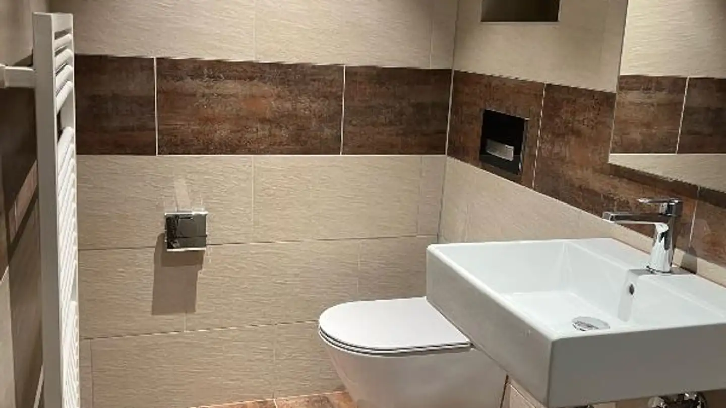 Studio for rent - Zürcherstrasse, 8103 Unterengstringen - Photo 2