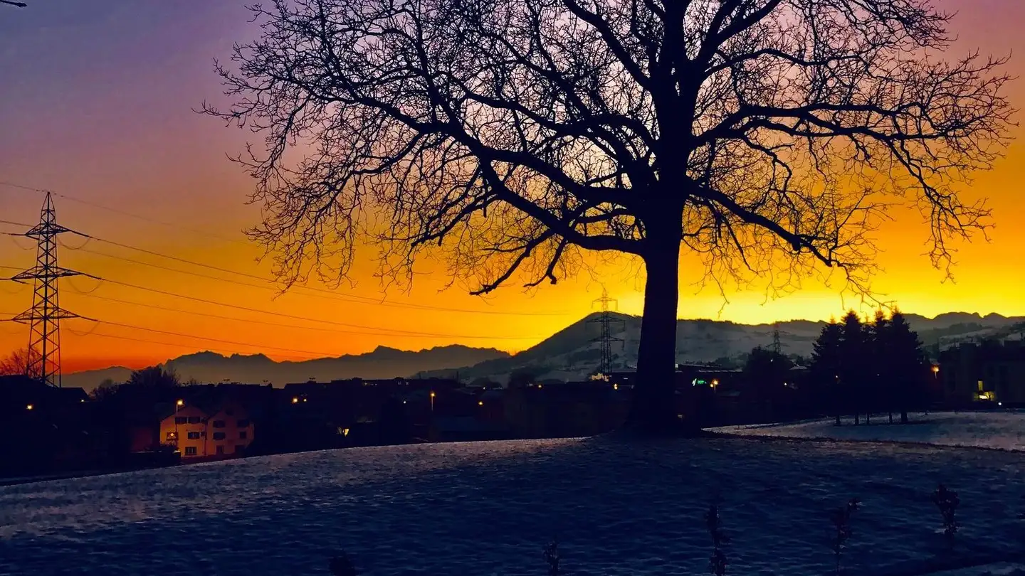 Apartment for rent - 8833 Samstagern