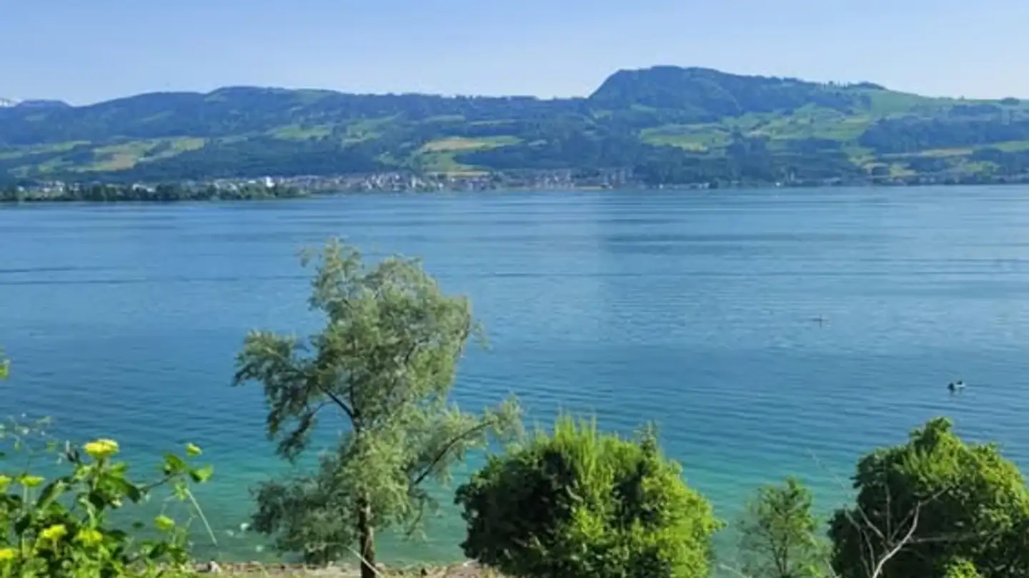 Stanza singola in affitto - 8712 Stäfa