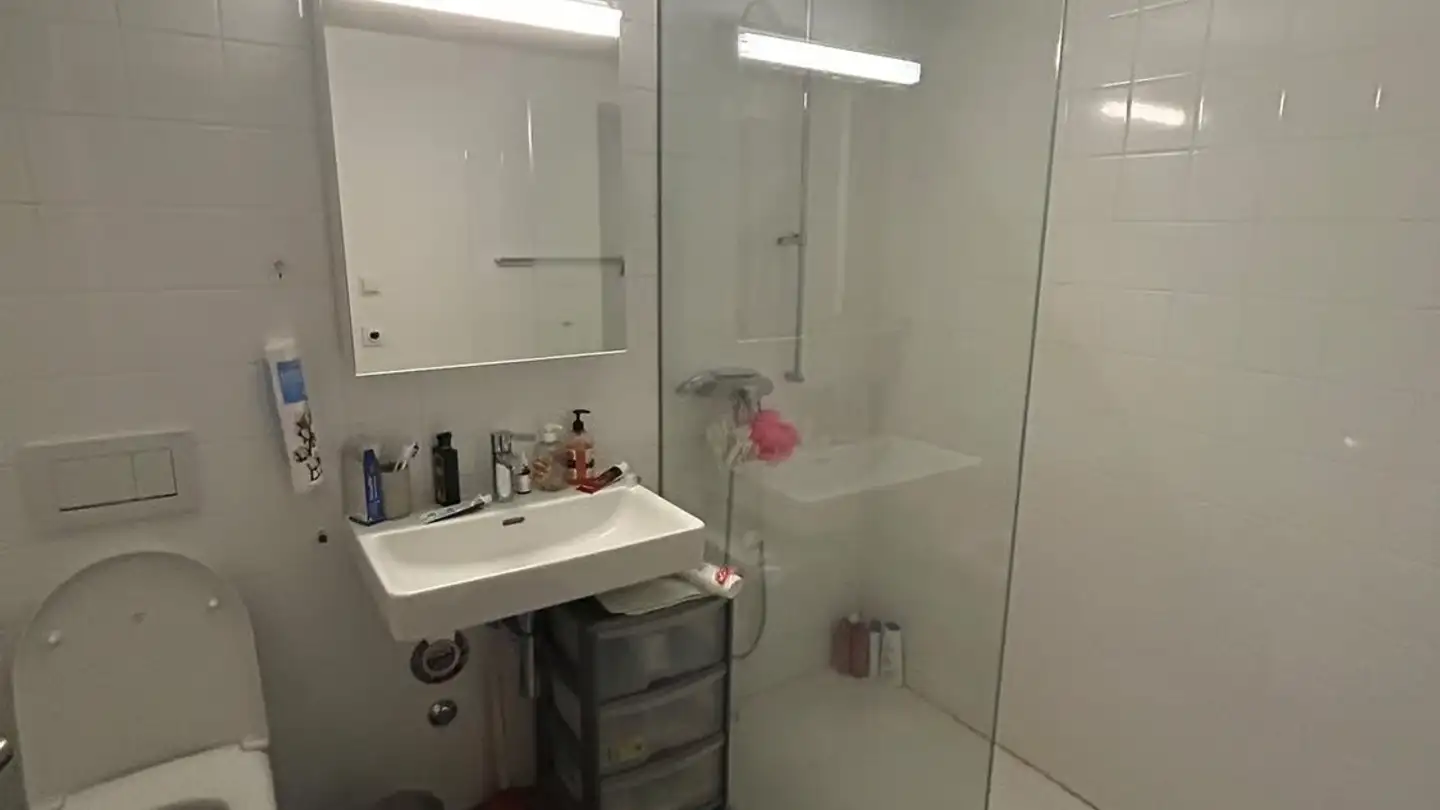 Chambre à louer - 8050 Zürich - Photo 3