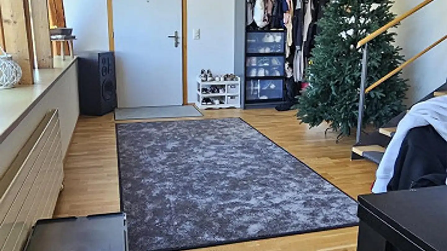 Penthouse for rent - Suhrgasse 9, 5037 Muhen - Photo 2