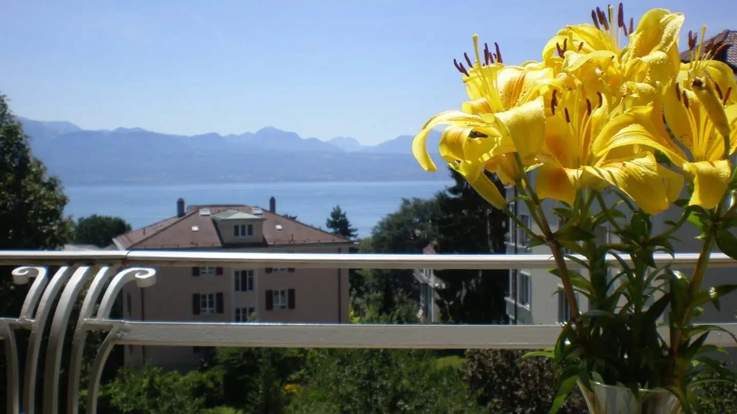 Wohnung mieten - Chemin Frank-Thomas, 1208 Genève