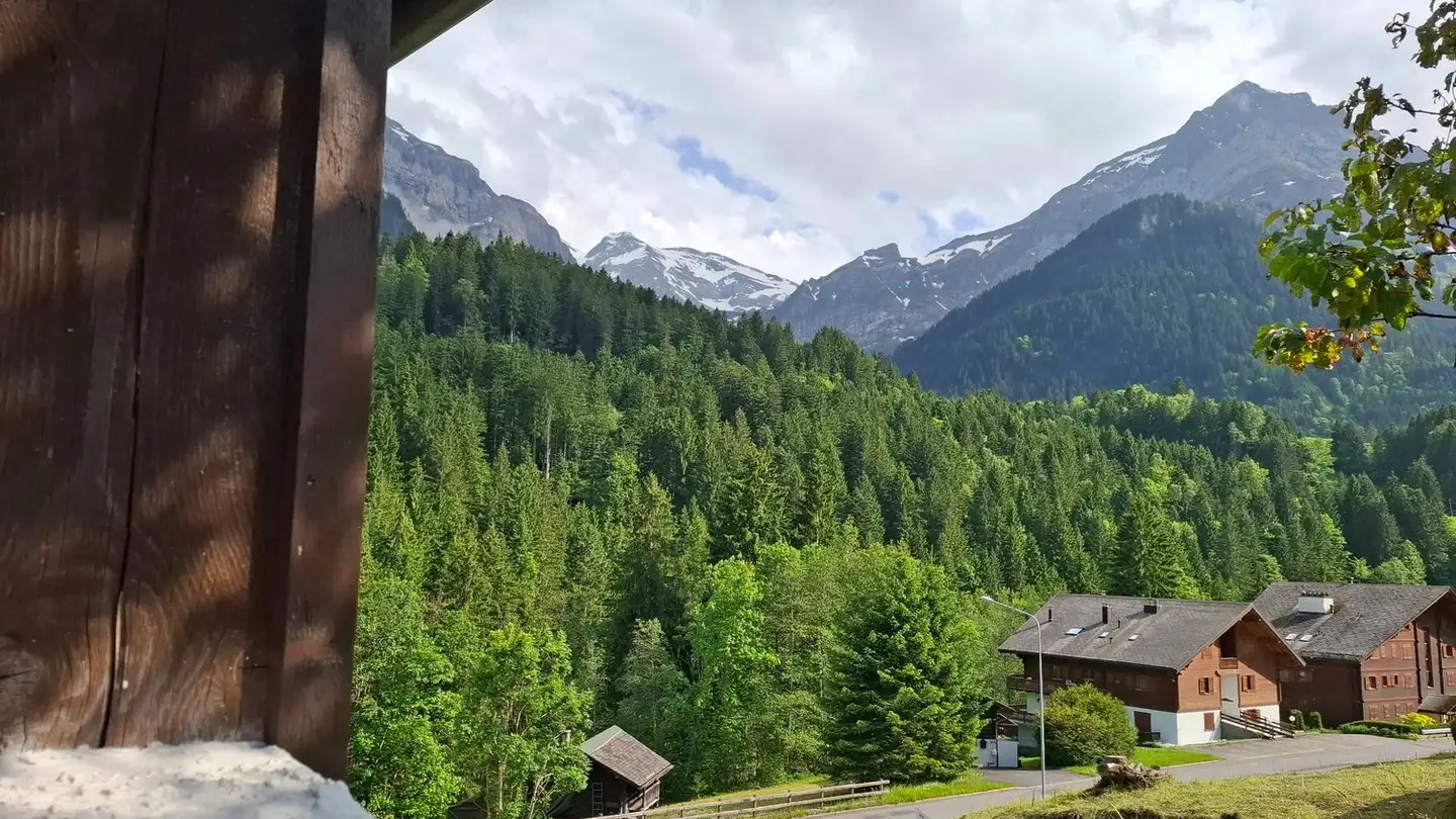 Single house for sale - 1874 Champéry