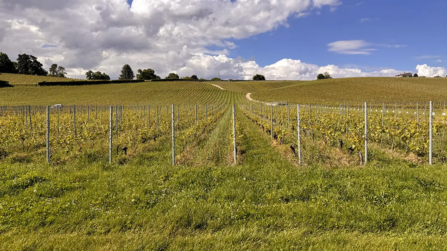 Casa singola in vendita - 1110 Morges - Foto 3