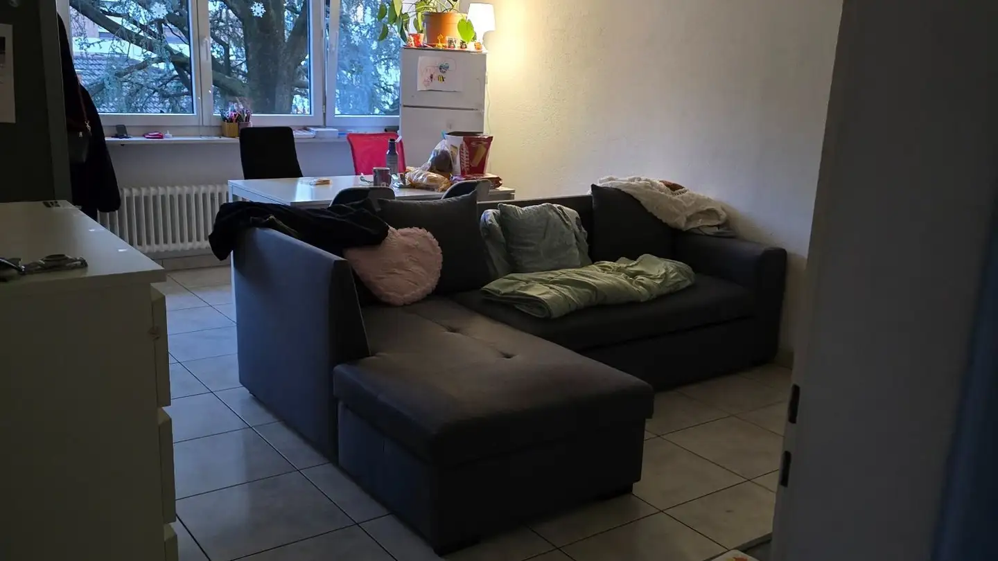 Appartamento in affitto - Via Bottogno 9a, 6962 Viganello - Foto 2