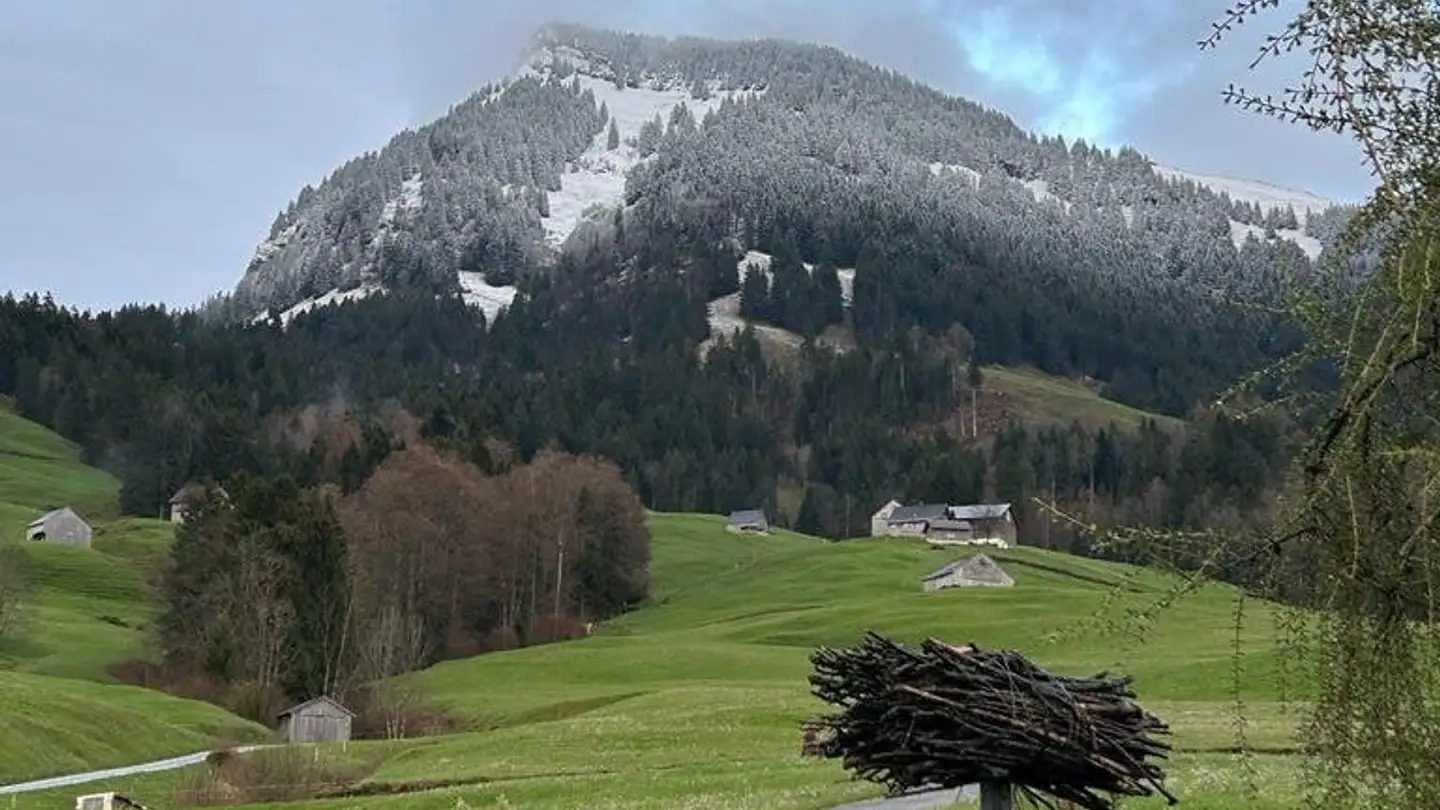 Chambre à louer - 9650 Nesslau - Photo 4
