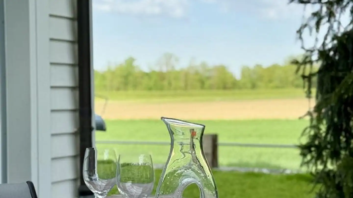 Single house for sale - Hinterwiesen 3, 8553 Eschikofen