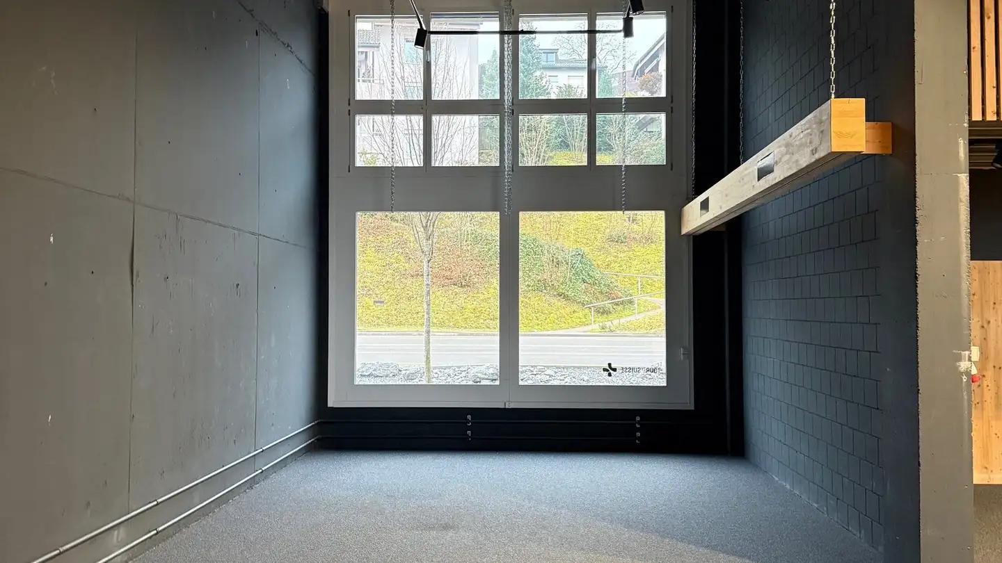 Industrieimmobilie mieten - Seestrasse 194, 8820 Wädenswil - Foto 3