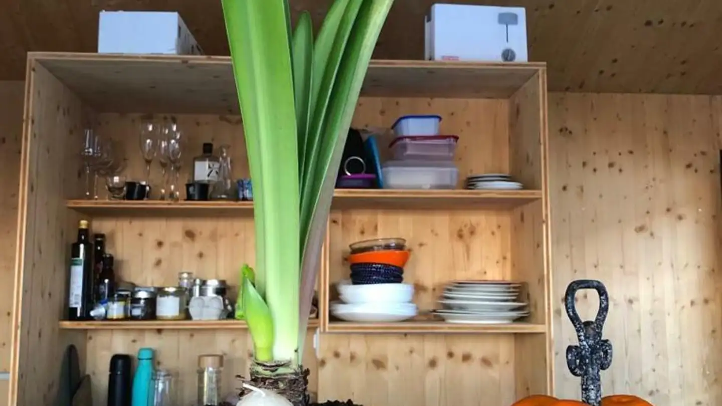 Casa singola in vendita - 3935 Bürchen - Photo 3