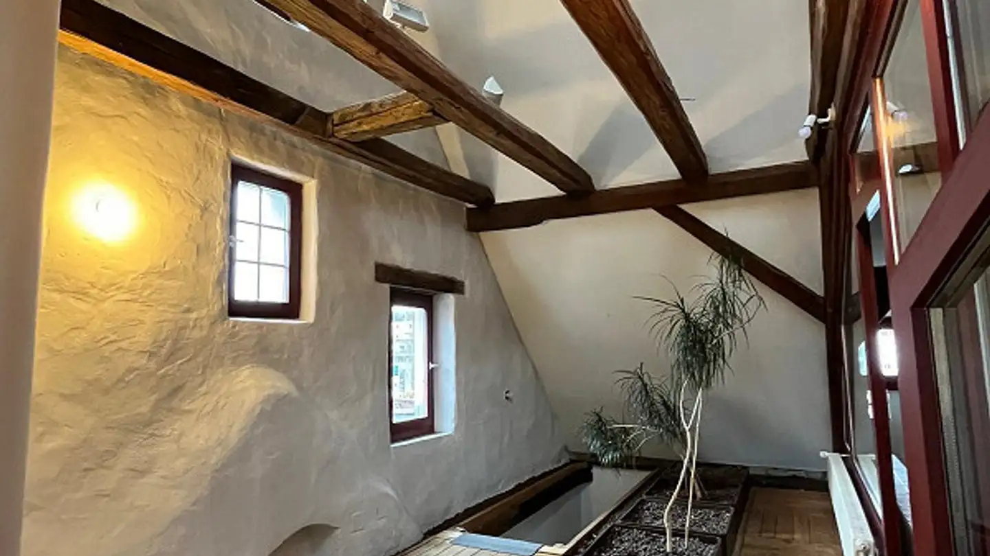Appartamento in affitto - Untere Rheingasse 7, 8245 Feuerthalen - Foto 4