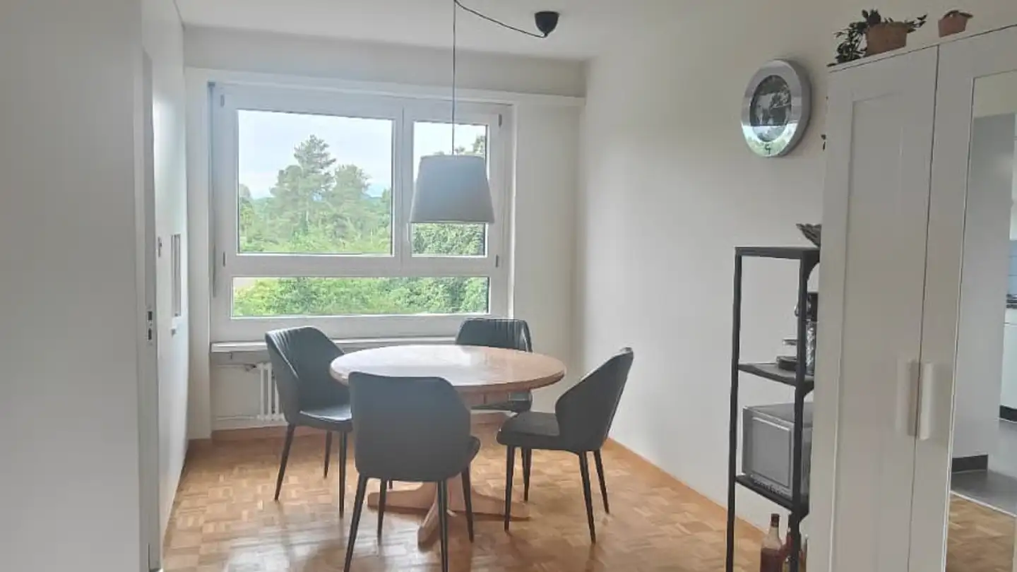Stanza singola in affitto - Am Stausee 15, 4127 Birsfelden