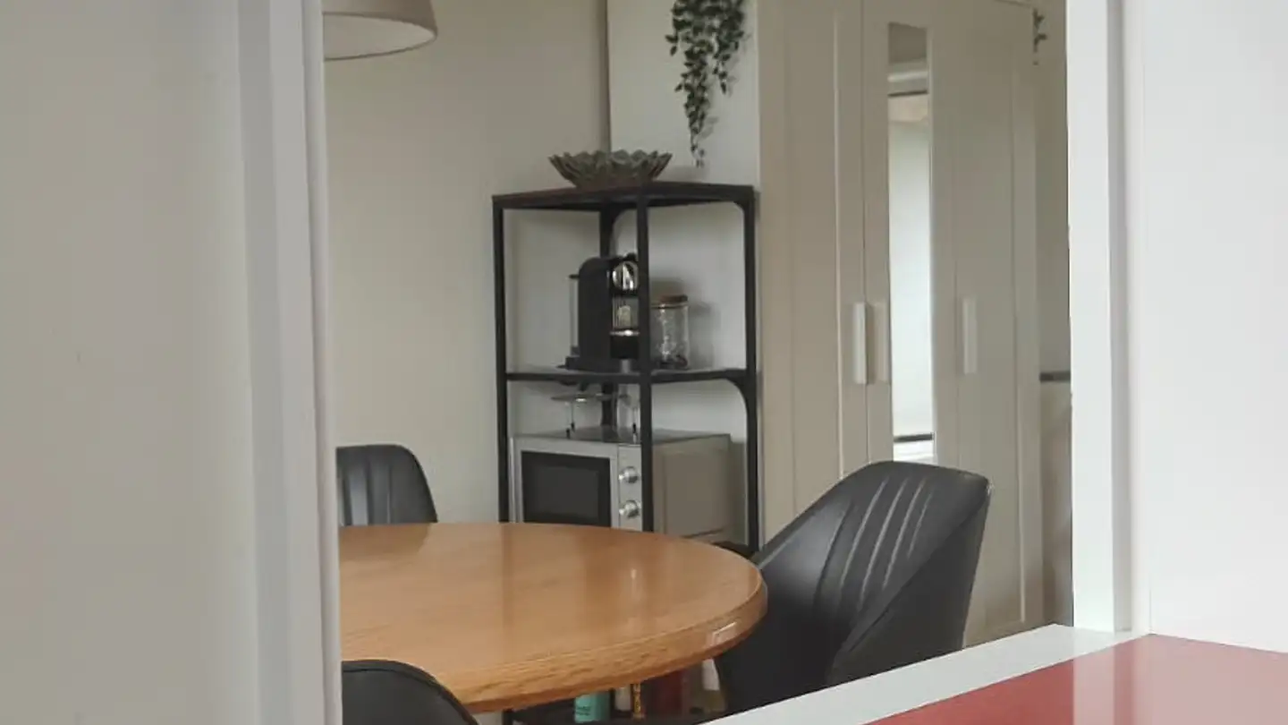 Stanza singola in affitto - Am Stausee 15, 4127 Birsfelden - Foto 4