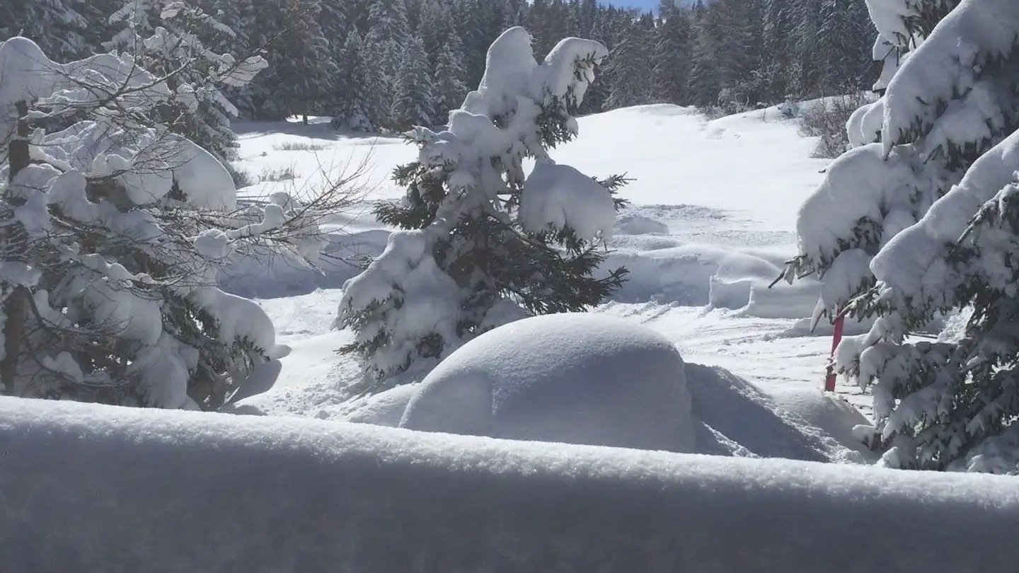 Chalet for sale - Voa Sporz, 7078 Lenzerheide/Lai - Photo 4