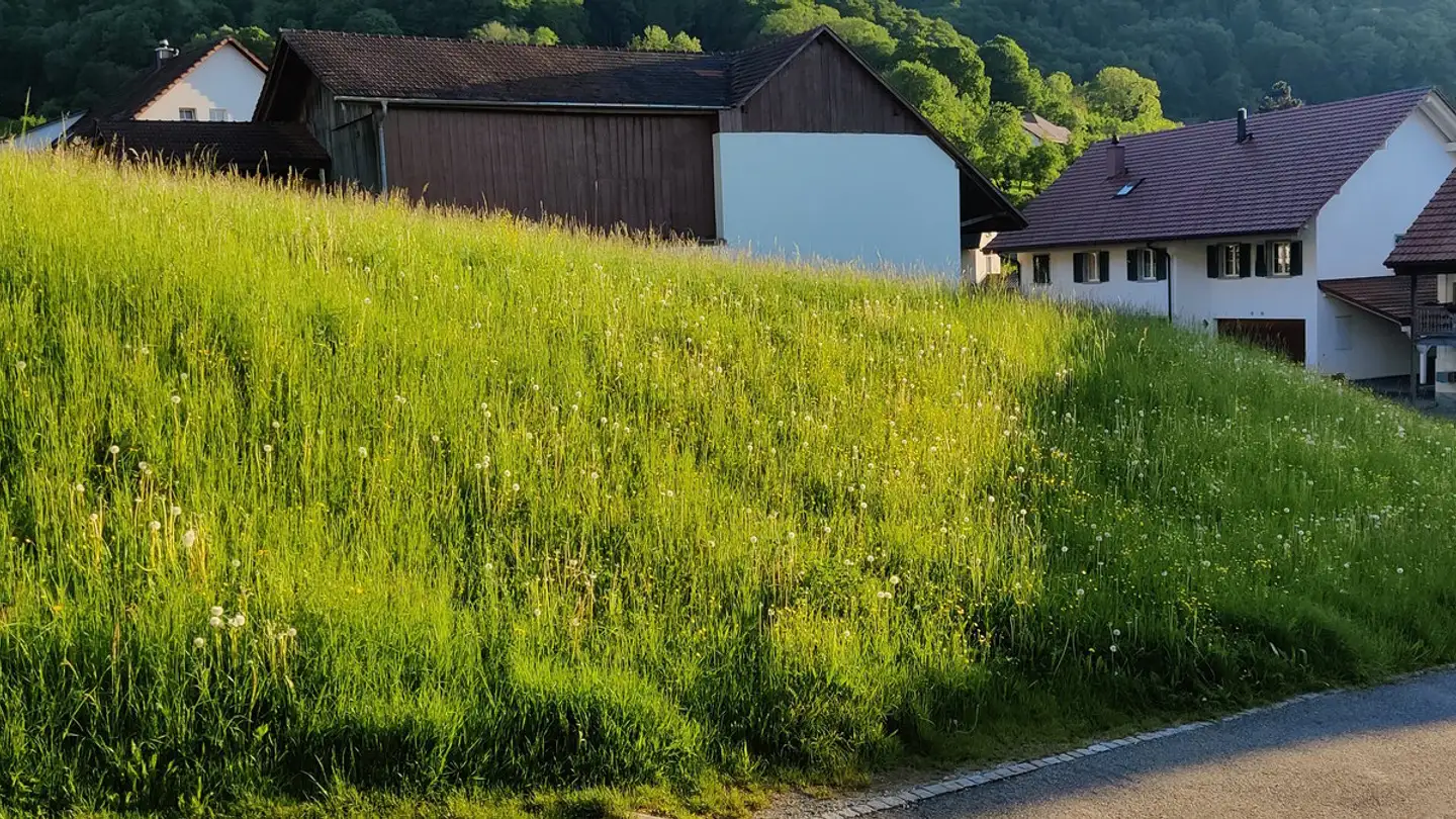 Terrain constructible à vendre - Alte Wittnauerstrasse, 4468 Kienberg - Photo 3