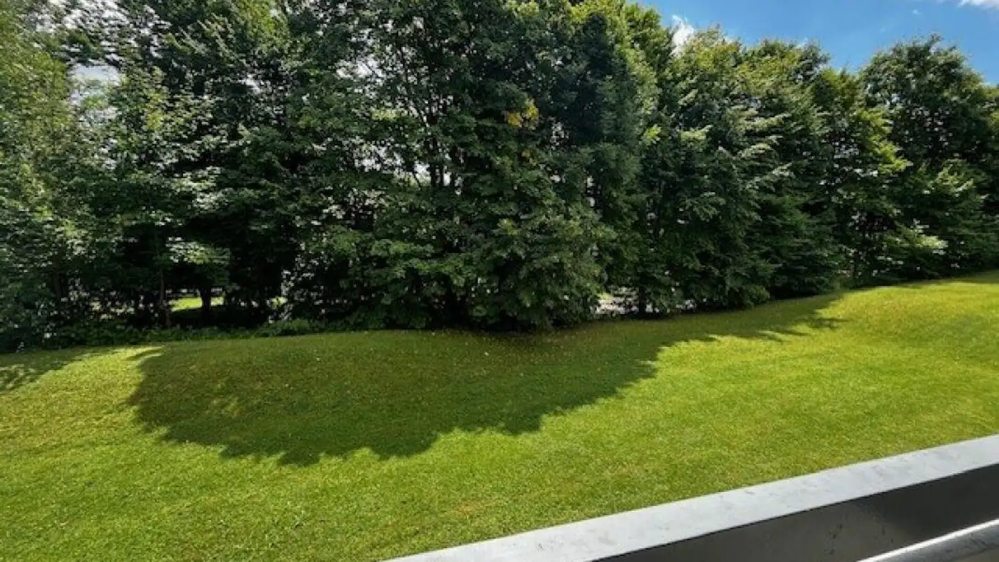 Appartamento in affitto - Brugghalden 16, 9300 Wittenbach