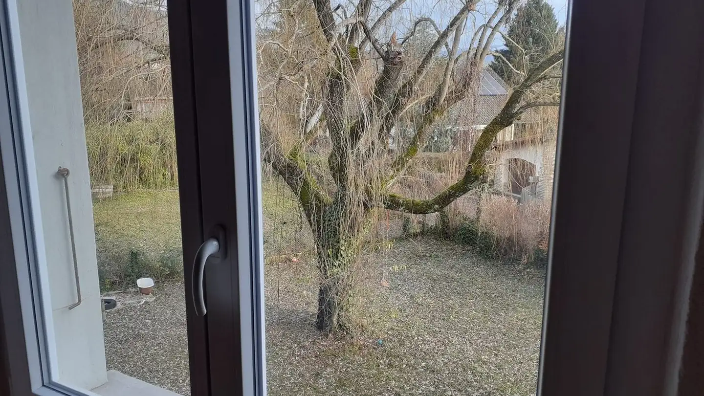 Single room for rent - Route Du Vorbourg 54, 2800 Delémont - Photo 3