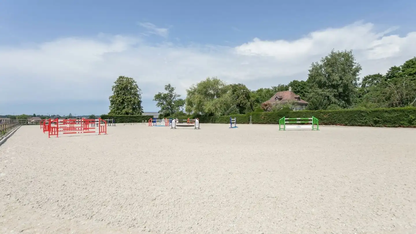 Horse box for sale - 3360 Herzogenbuchsee