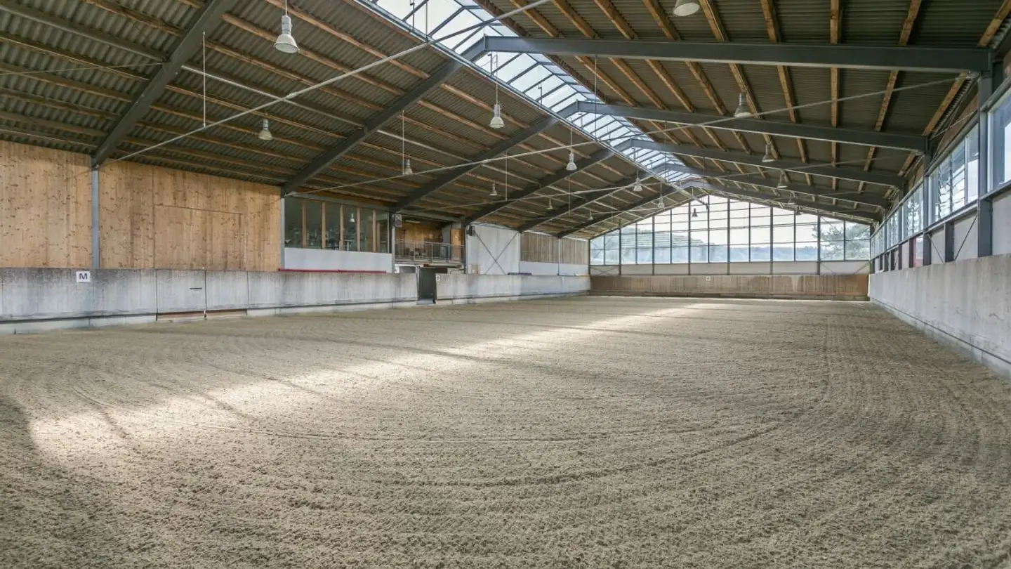 Box per cavalli in vendita - 3360 Herzogenbuchsee - Photo 4