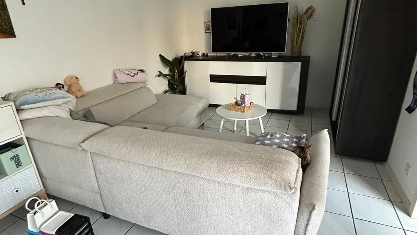 Appartamento in affitto - Via Cantonale 41, 6948 Porza - Photo 4