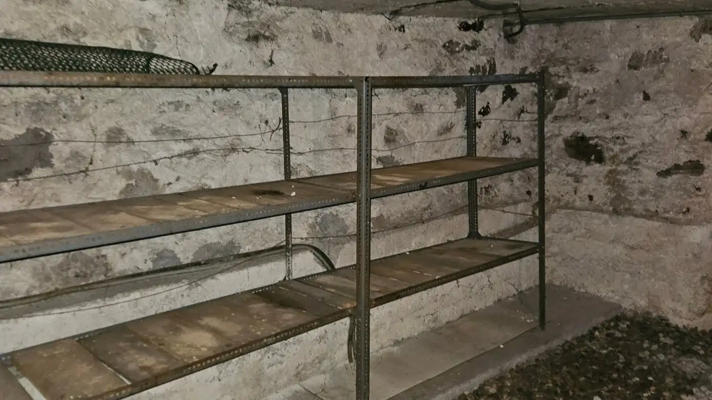 Casa singola in affitto - 6742 Pollegio - Photo 4