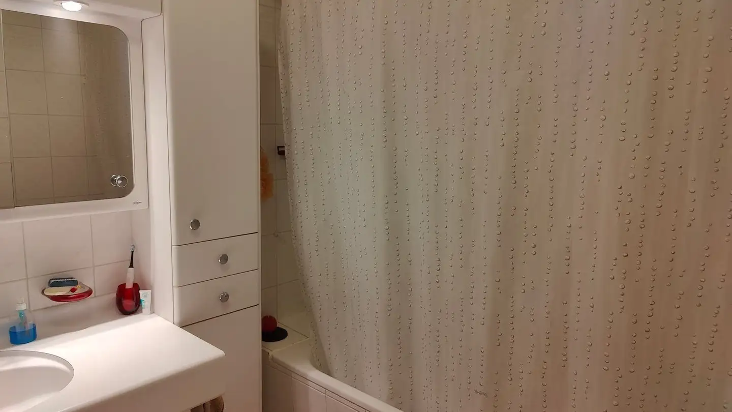 Appartamento in affitto - Sagiweg 1, 8309 Nürensdorf - Foto 3