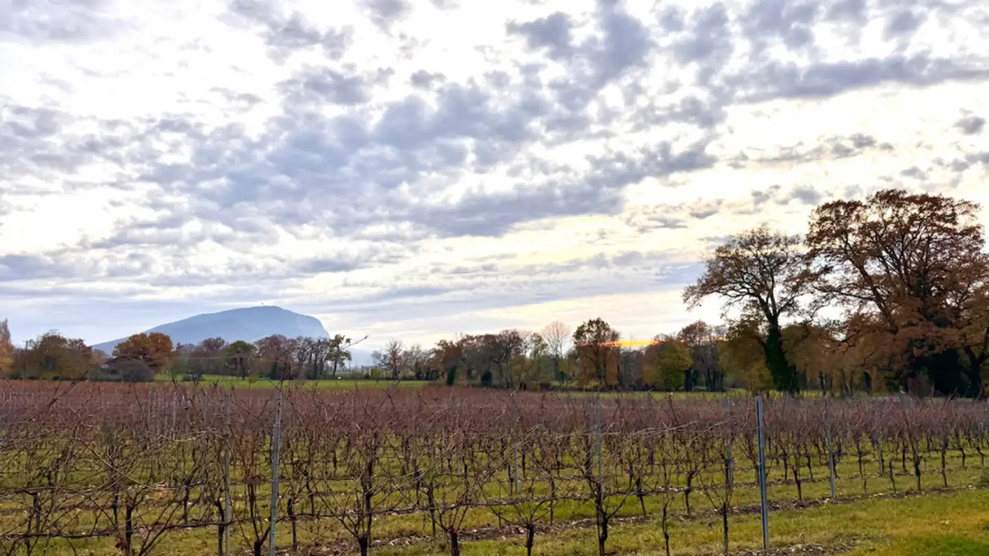 Villa for sale - 1243 Presinge - Photo 4