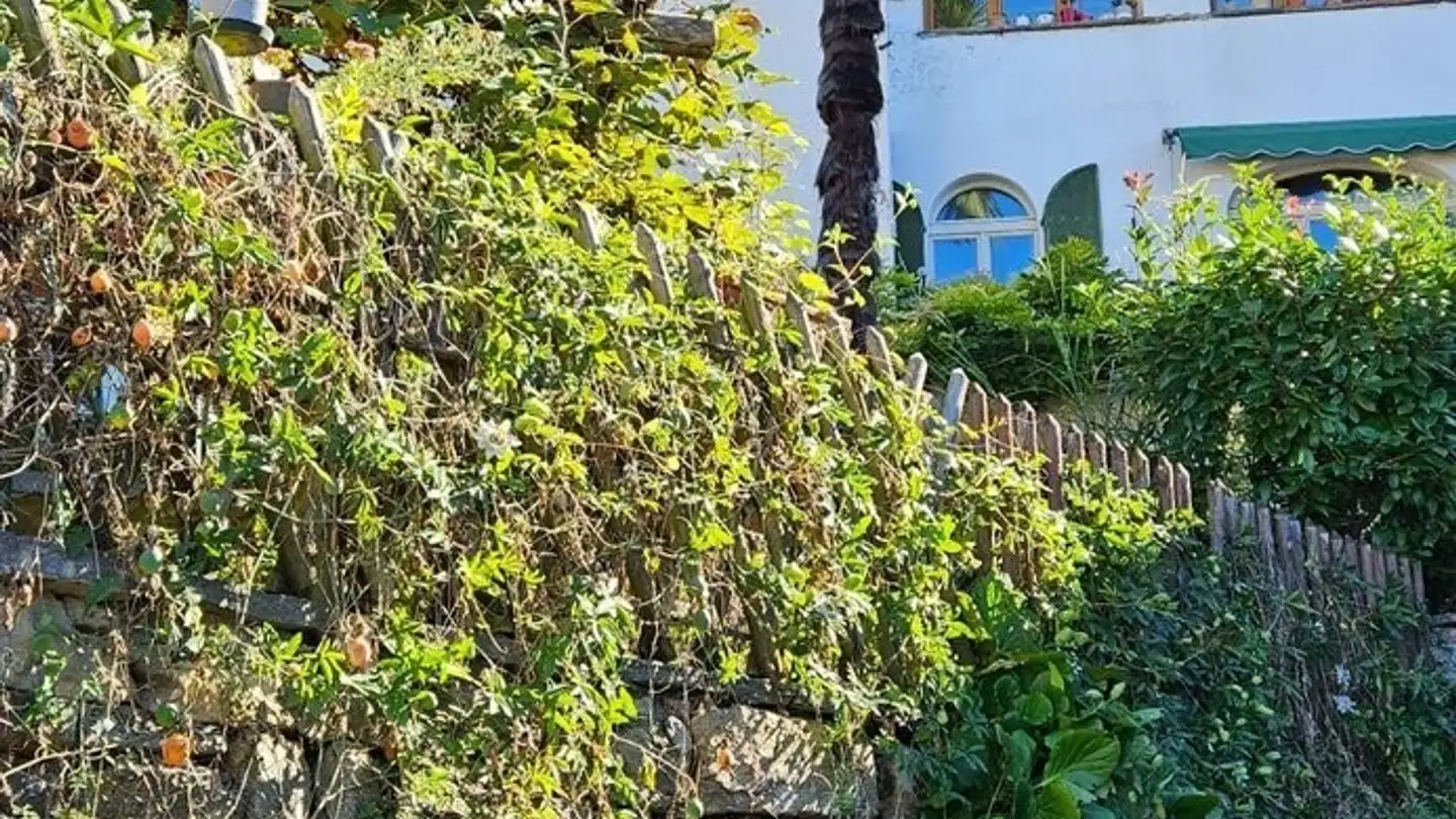 Appartamento in affitto - Via Luigi Monteverde, 6964 Davesco-Soragno - Photo 2