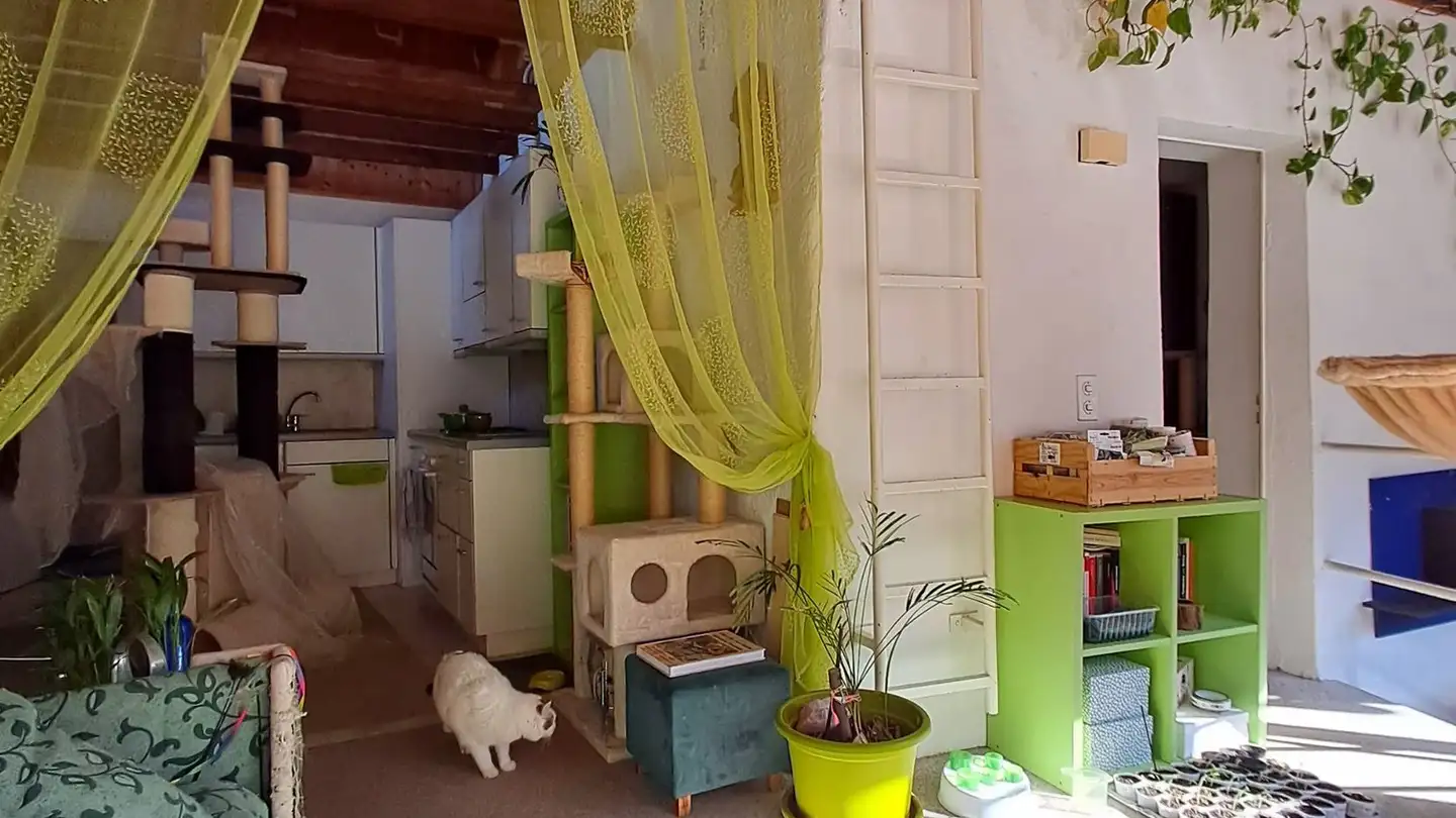 Appartement à louer - Piazza Torch 2, 6821 Rovio