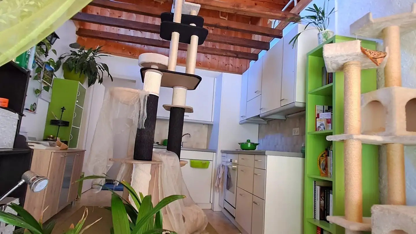 Appartement à louer - Piazza Torch 2, 6821 Rovio - Photo 2