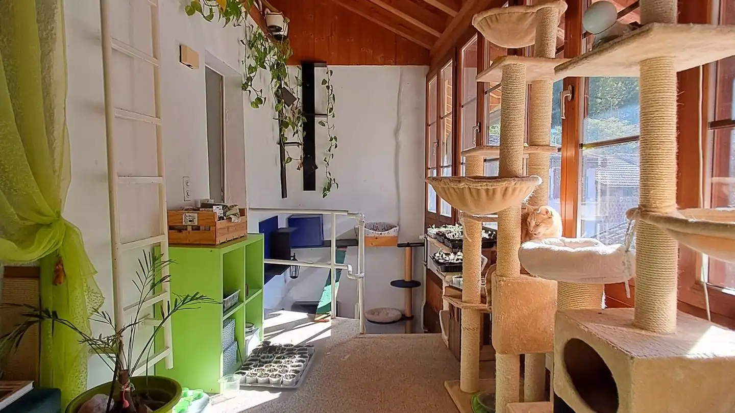 Appartement à louer - Piazza Torch 2, 6821 Rovio - Photo 4