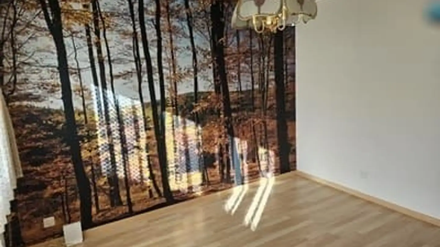 Maison individuelle à louer - Obere Hofmattstrasse 42, 4227 Büsserach