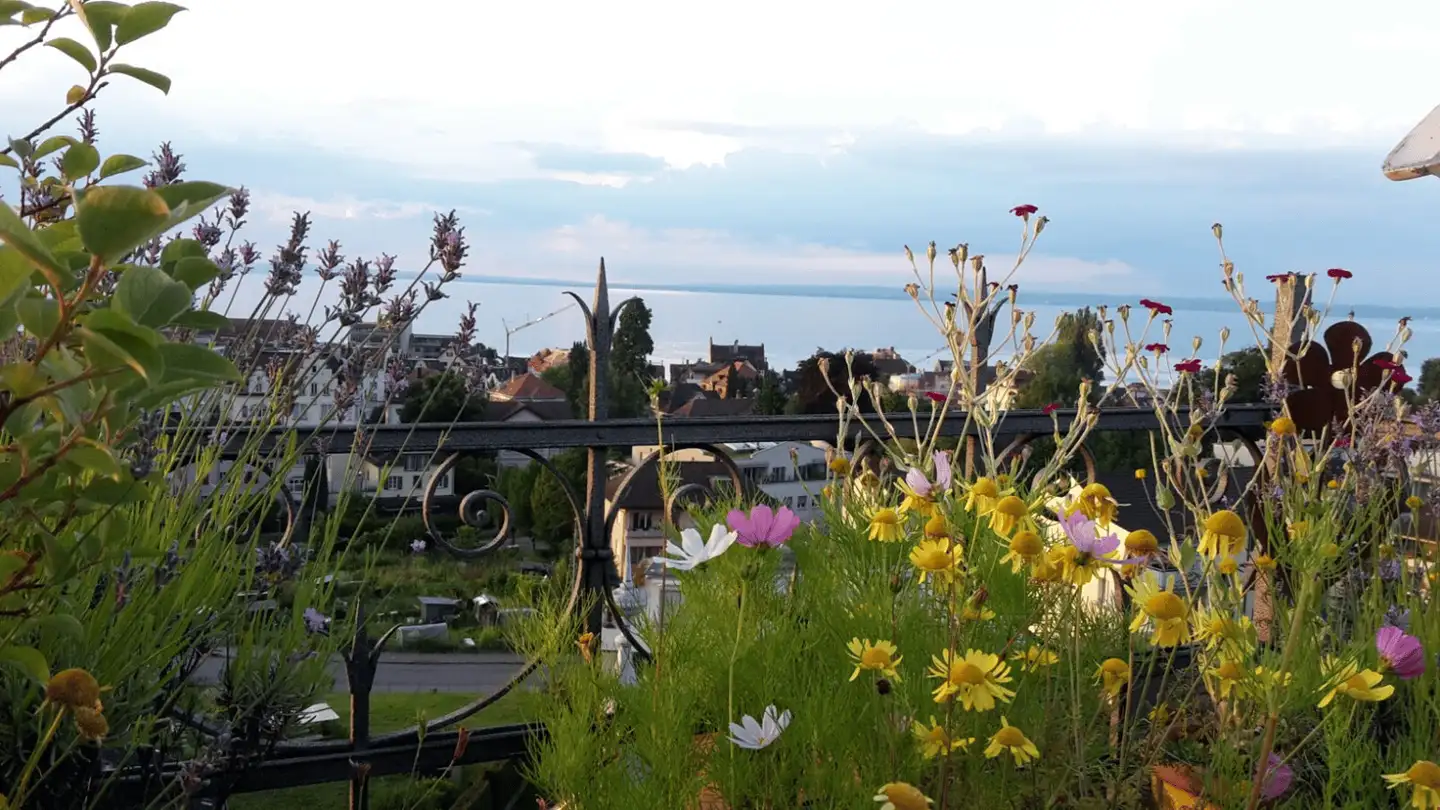 Appartement à louer - Signalstrasse 41, 9400 Rorschach