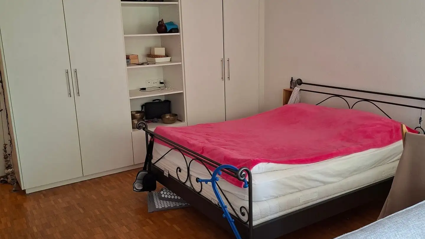 Studio for rent - Sulzbergstrasse 4, 5430 Wettingen - Photo 2