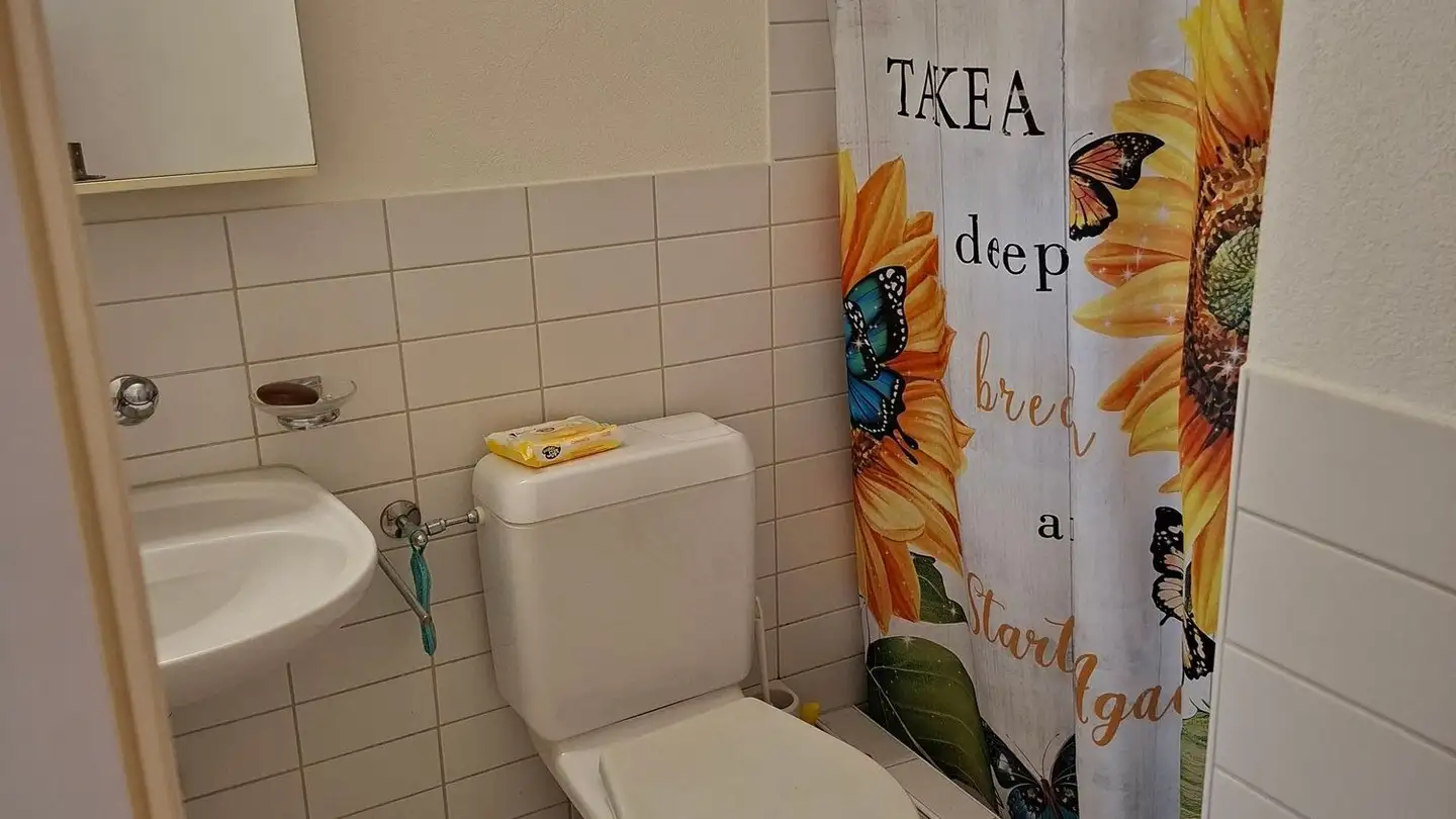 Studio for rent - Sulzbergstrasse 4, 5430 Wettingen - Photo 3