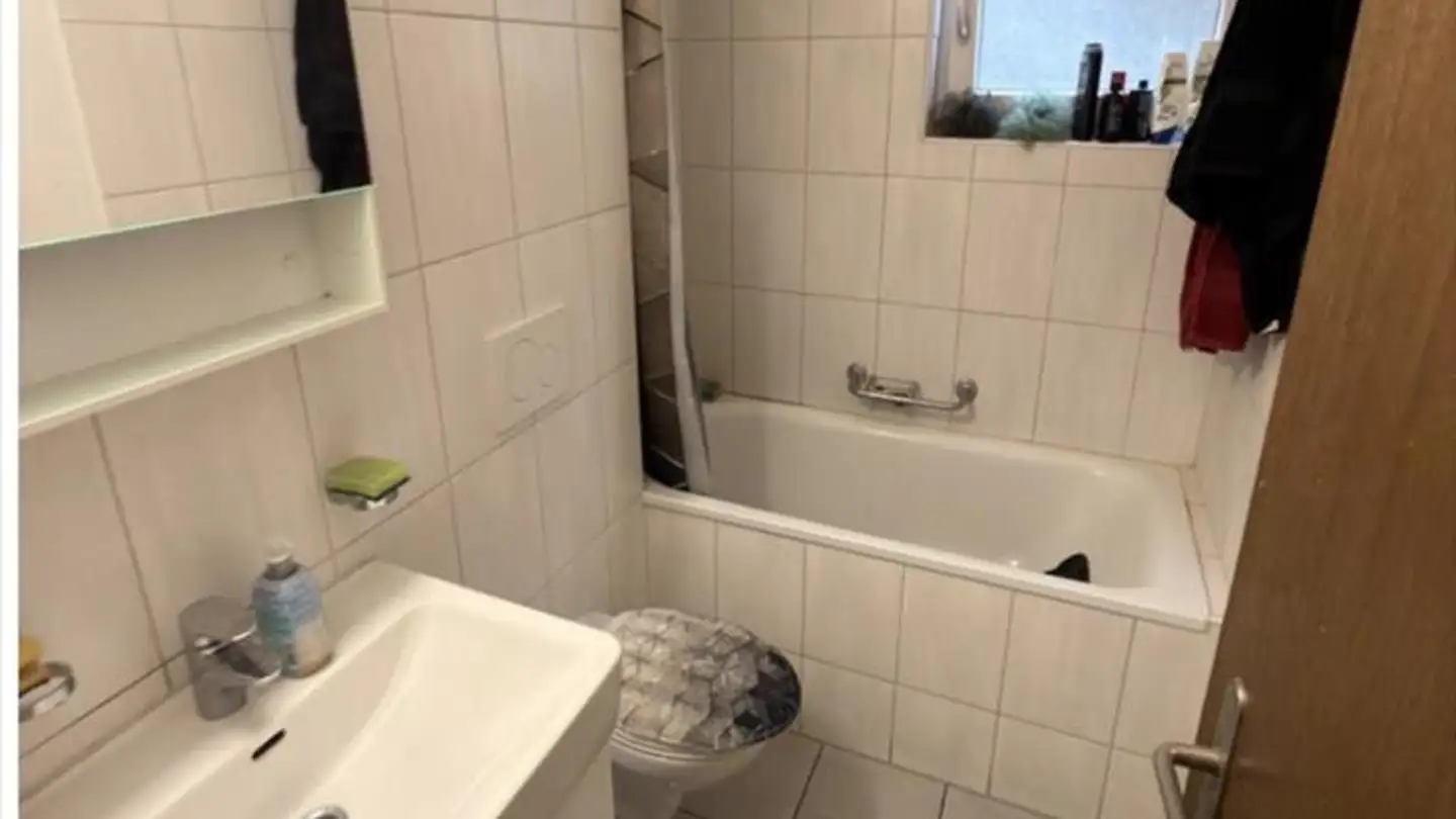 Wohnung mieten - Birchweg 7, 8200 Schaffhausen - Foto 3