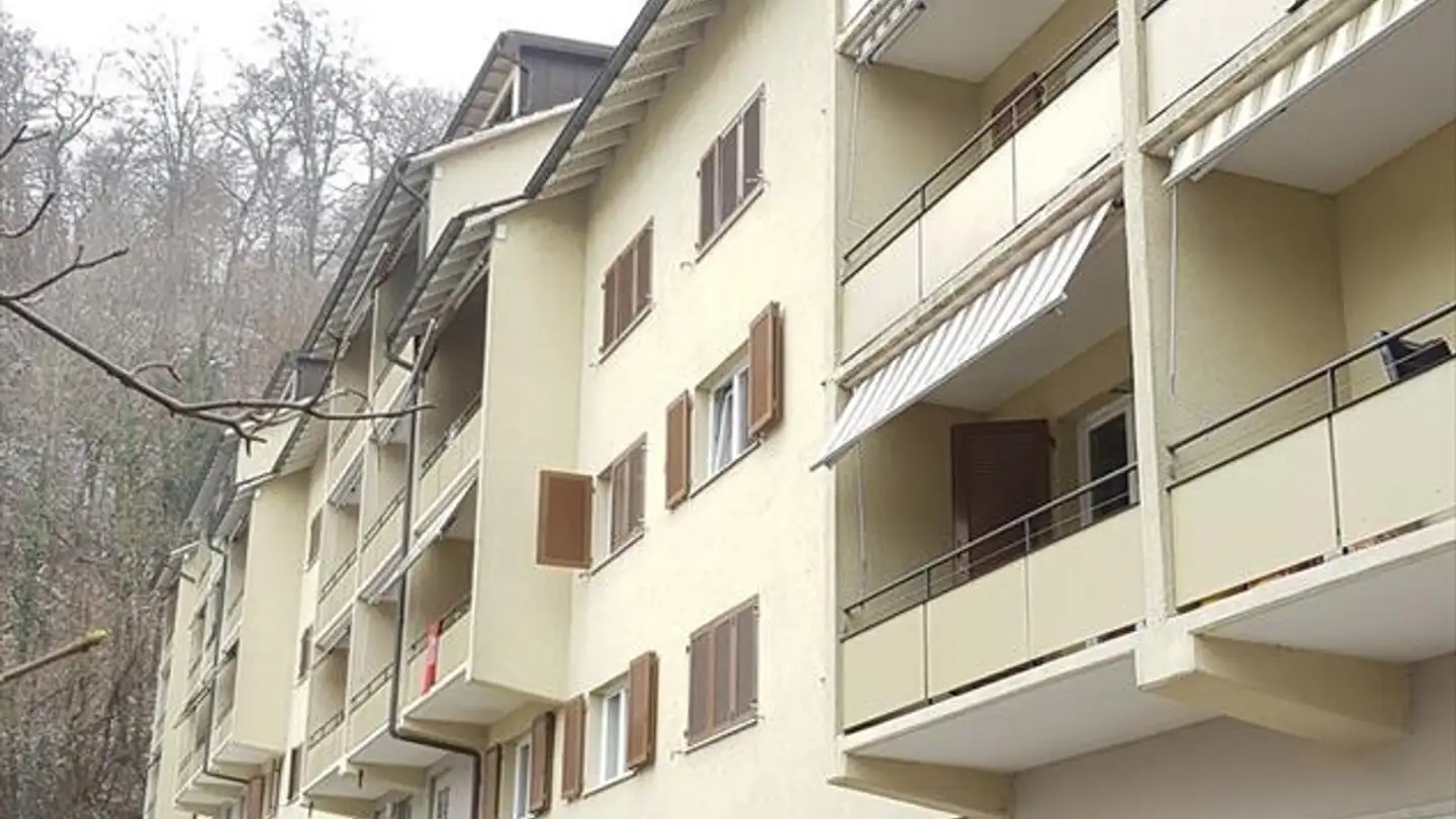Wohnung mieten - Birchweg 7, 8200 Schaffhausen