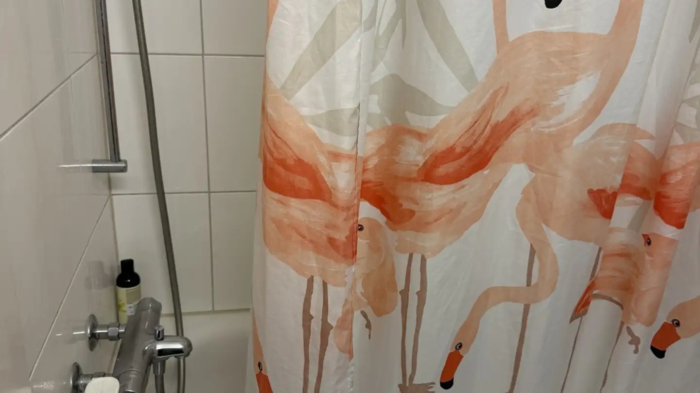 Apartment for rent - 8320 Fehraltorf - Photo 4