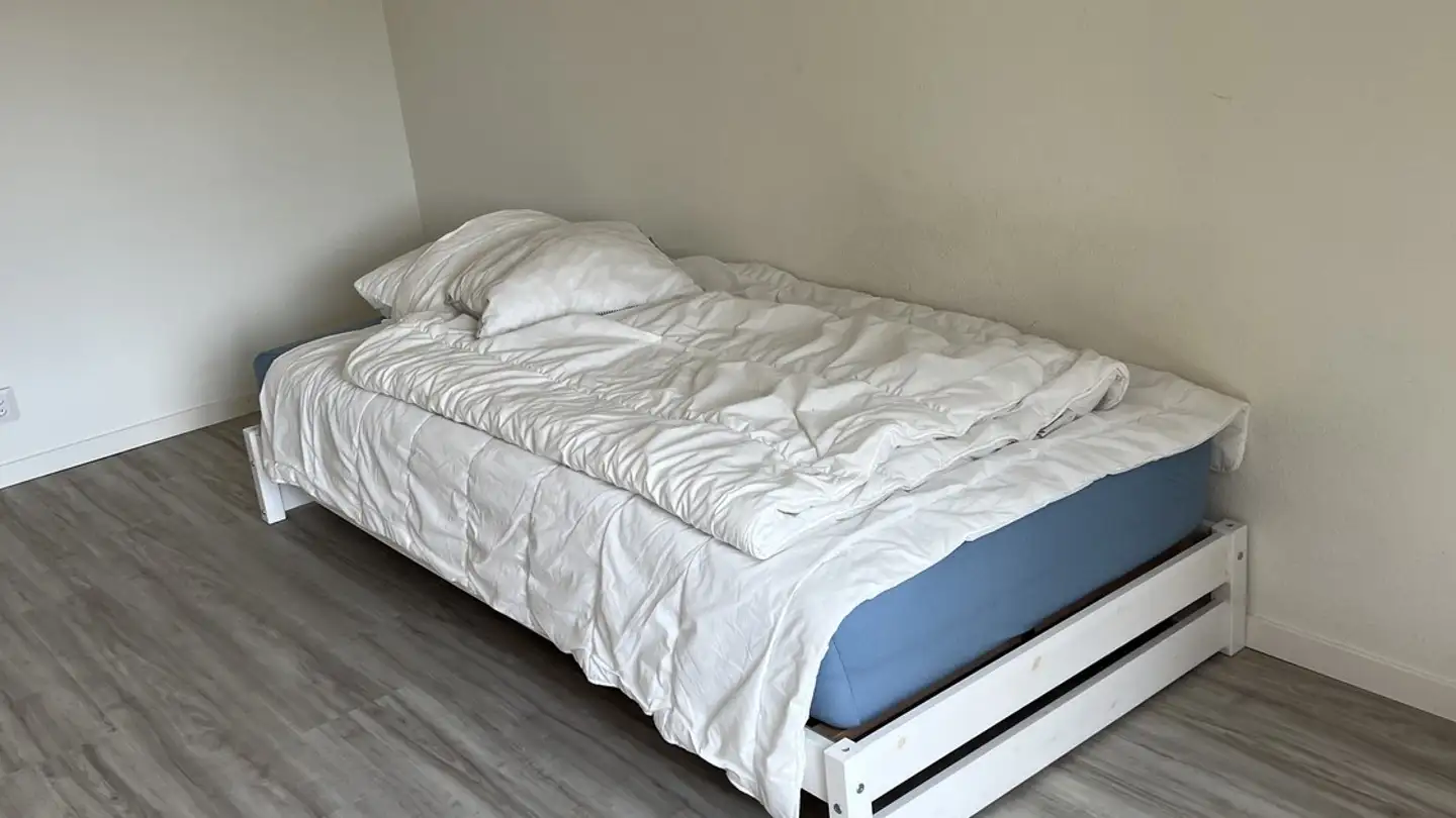 Casa singola in affitto - 4242 Laufen - Photo 4