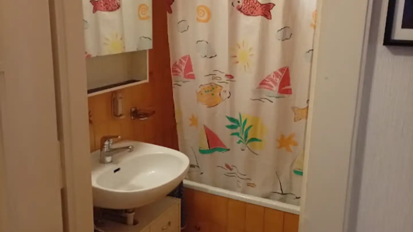 Single room for rent - Rue De Crissier, 1020 Renens VD - Photo 2