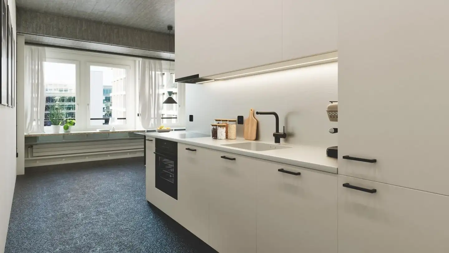 Loft à louer - Schärenmoosstrasse 80, 8052 Zürich - Photo 3