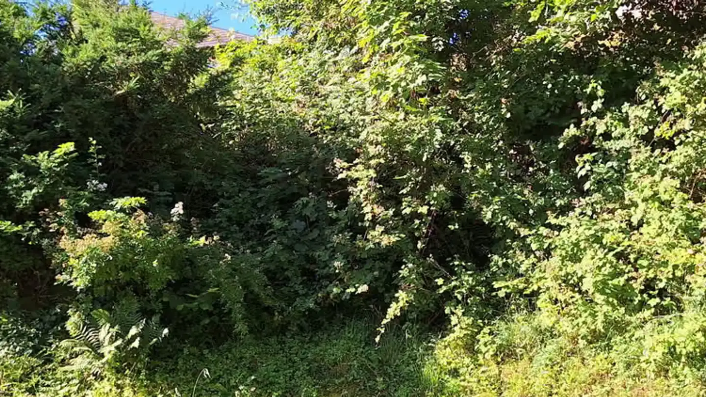 Appartamento in affitto - Im Gugel 3, 5522 Tägerig - Foto 3