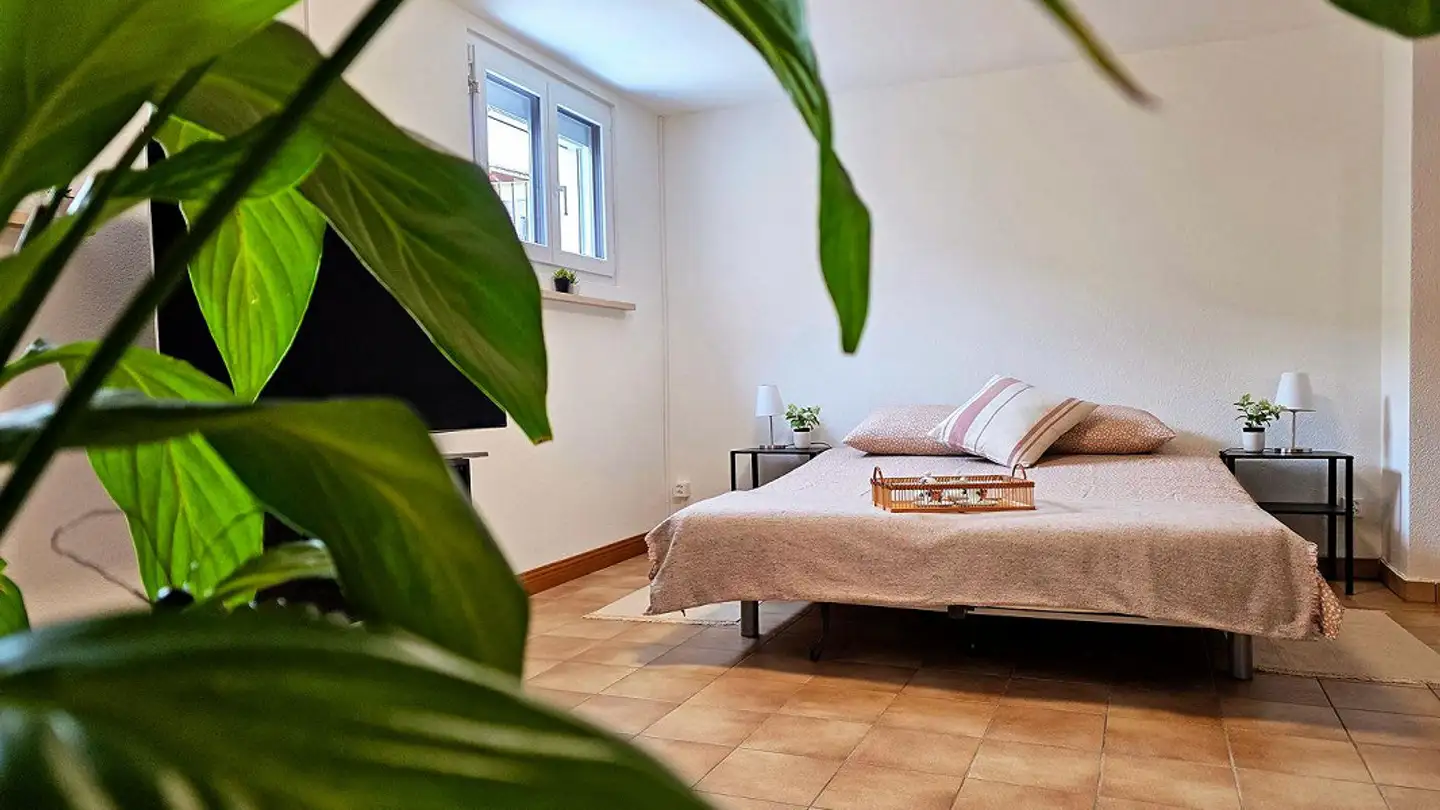 Wohnung mieten - Via Trisnera 42, 6616 Losone