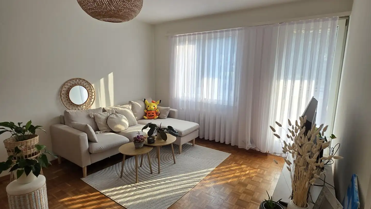 Appartement à louer - 6048 Horw