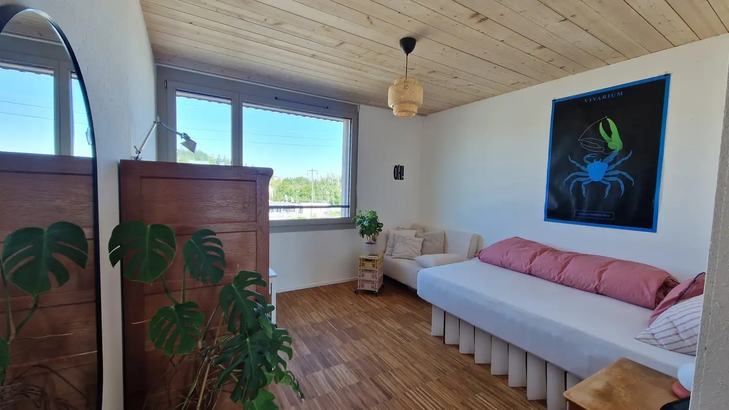 Appartamento in affitto - 8404 Winterthur - Foto 4