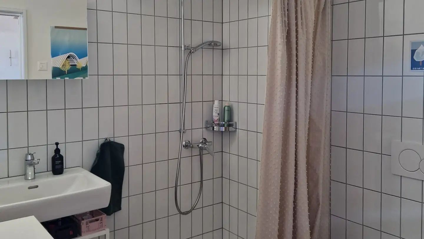 Appartamento in affitto - 8404 Winterthur - Foto 3