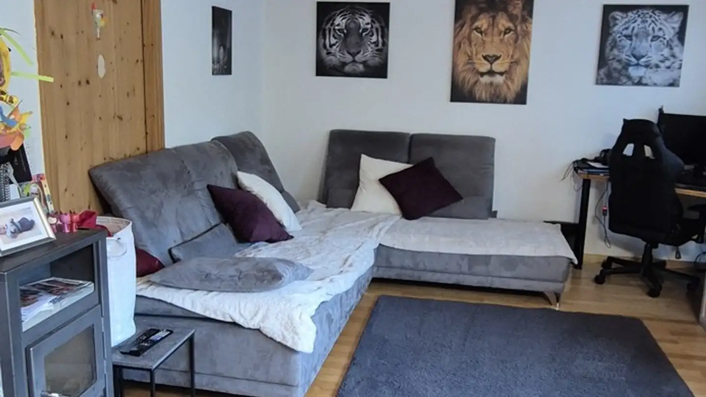 Appartement à louer - Schwellbrunnerstrasse 4904, 9100 Herisau - Photo 2